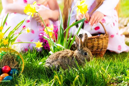 Ostereiersuche an der Nordsee
