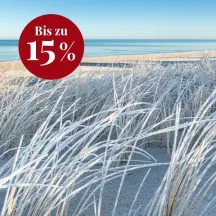 Vereistes Dünengras