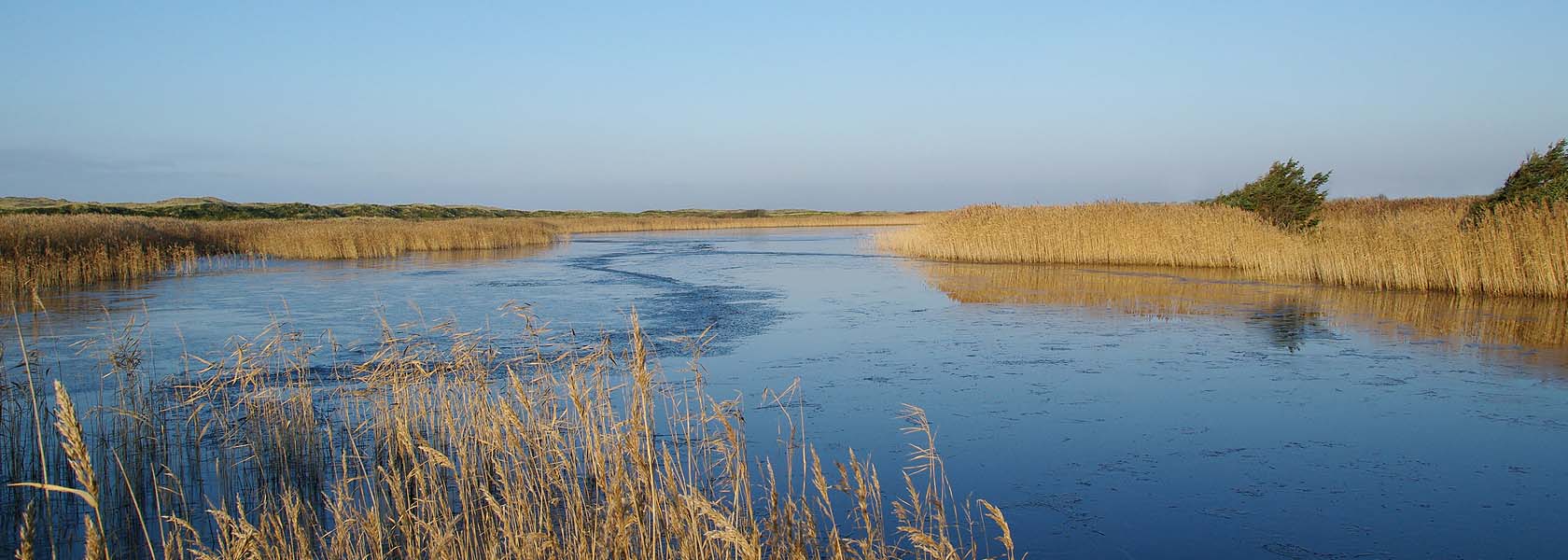 Winter an der Nordsee