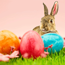 Ostern 2019 im Badhotel Sternhagen Cuxhaven