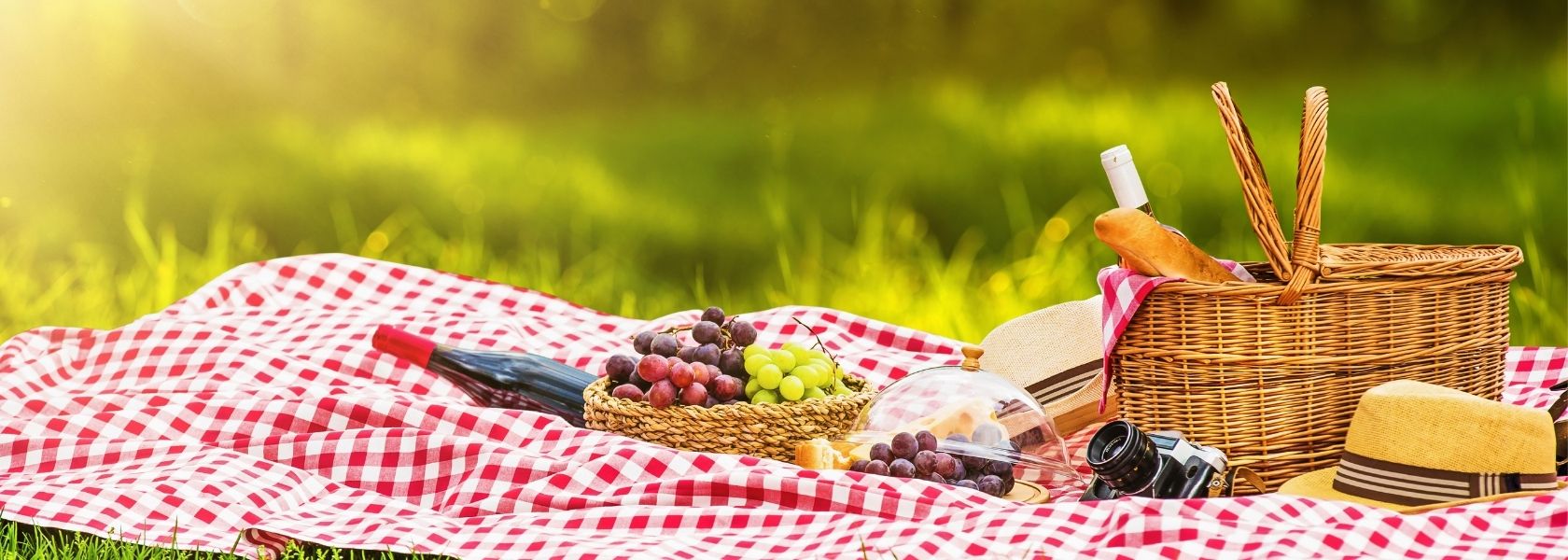 Ein Picknick im Gras, mit einer karierten Decke, Picknick-Korb, Weintrauben und Wein, Kamera und Sonnenhut.