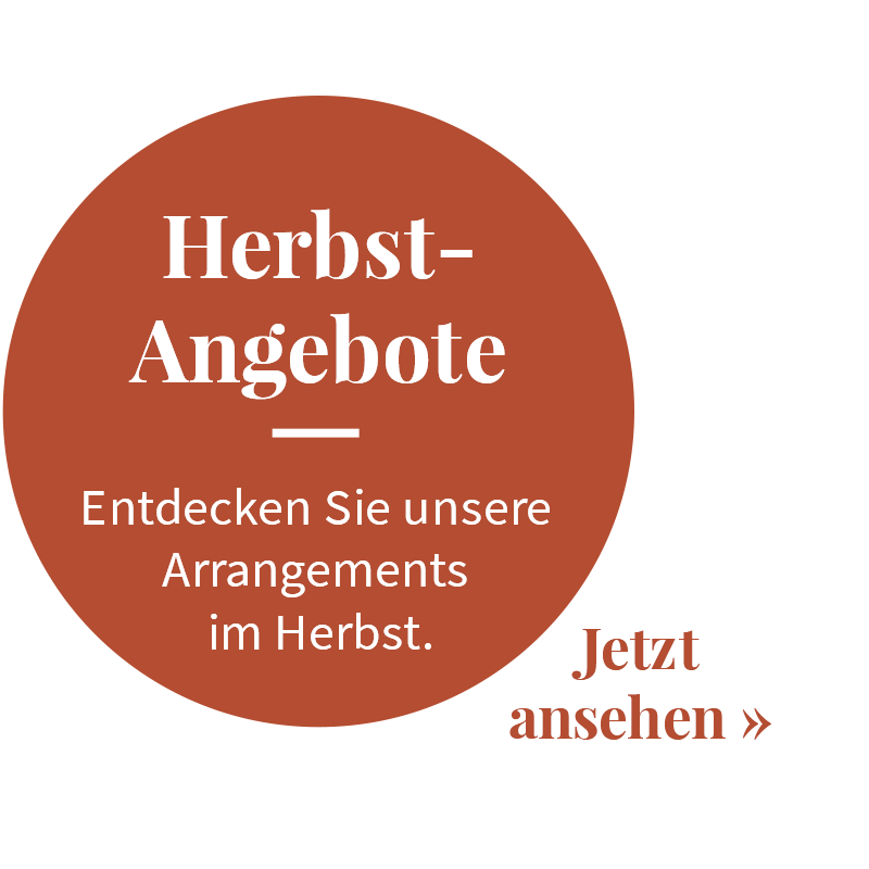 Wellnessangebote